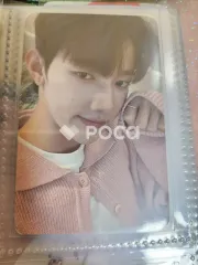 YOUTH IN THE SHADE EVERLINE ラキドロ