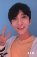 SEVENTEEN 19年HARU JOSHUA トレーディングカード セルカ