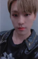 SEVENTEEN An Ode DINO トレーディングカード 黒