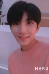 SEVENTEEN 19年HARU JOSHUA トレーディングカード セルカ