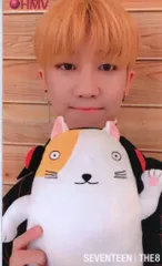 SEVENTEEN SVT THE8 トレーディングカード