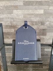 ディズニークルーズ Adventure パスポートケース ネームタグ 限定品