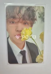 Seventeen セブチ エスクプス FML CARAT Ver.