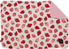 Item thumbnail for item 887d62a2-2f67-436c-b88f-1ef3404f06fd