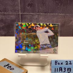 Item thumbnail for item 6cd59636-06f3-4193-a4c4-0621b366bf6d