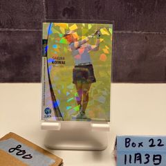 Item thumbnail for item 4b1e3909-c06a-4c9f-9c36-aacac3628734