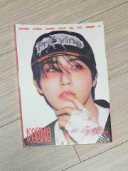 ハン (HAN) karma CDアルバム SKZ Stray Kids(ストレイキッズ・スキズ・SKZ) 未開封 accordion