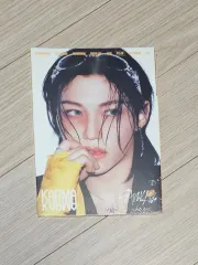 フィリックス カルマ CD アルバム SKZ Stray Kids(ストレイキッズ・スキズ・SKZ) 未開封 accordion