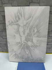 【Y5-90】◎ シン・エヴァンゲリオン 劇場版　中古