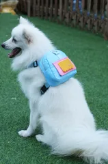 犬・猫用 お出かけリュック【Sサイズ】着用タイプ リュック ペットキャリーバッグ 中小型犬対応 ハーネス リード付き ベストタイプ  通気性 携帯便利