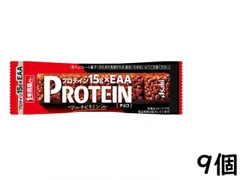 アサヒグループ食品 1本満足バー プロテインチョコ 9個 賞味期限2027/02のサムネイル