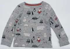 【新入荷!!】☆セット割対応☆ ネクスト キッズ 長袖 薄手 トップス 116cm （1379）