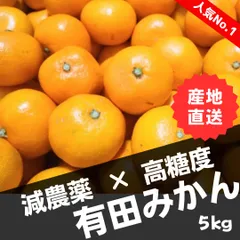 【超お得】甘い！減農薬 有田みかん 訳あり 家庭用 5kg