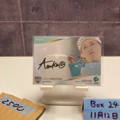 Item thumbnail for item 31aebb06-d081-4469-aa3e-6c9fe8af9583