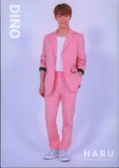 SEVENTEEN 2019 HARU DINO トレーディングカード 34