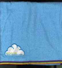 嵐 10-11年 scene 君と僕の見ている風景 フード付タオル *国立限定