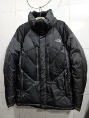 THE NORTH FACE ザ・ノース・フェイスグースダウン(メンズ95)