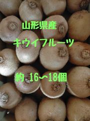 山形県産　キウイ フルーツ　農家直送　訳あり