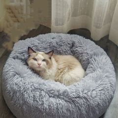 Item thumbnail for item 5893ff75-dc80-4c08-aa7a-b99e761438ef