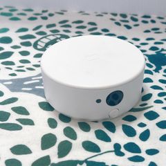 Item thumbnail for item 7e3cb162-2b56-4a1b-b9d4-e114840df0dd