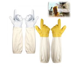 Item thumbnail for item 22e69d72-8b78-4ade-baa2-b70359f83f41