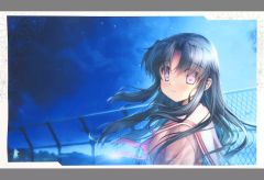 中古】生写真(AKB48・SKE48) 松井玲奈/AKBS-20123/24・膝上/CD「バラの