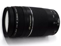 Item thumbnail for item c8975d0d-9289-4a2f-9446-fc9005357c5a