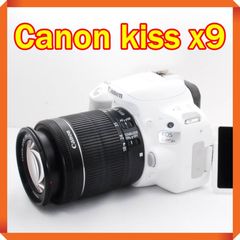 Item thumbnail for item 121538df-8e2a-4814-97af-32a4f62c8d7d