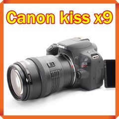 Item thumbnail for item 8a99e34d-2931-4c5a-869c-9fe4b07063d8