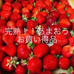 【本物】福岡S6号小苗（証拠あり） 今の所ラス1【本物】福岡S6号小苗（証拠あり）いちご - メルカリ