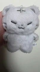 SEVENTEEN(セブンティーン・セブチ) ぬいぐるみ ぬい ホシ ぬいぐるみ ぬい ホシ(HOSHI) ぬいぐるみ ぬい