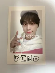 Seventeen ディノ セブチ 2020 SVT 4th FAN MEETING SEVENTEEN in CARAT LAND チェキ トレカ セット