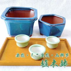 【お得　陶器製植木鉢 5点セット】　山野草・苔など植える小品盆栽に　美しいトルコブルーと薄緑色の和風植木鉢　　　寄せ植え　ミニ盆栽　コケ盆栽　ミニチュア　豆盆栽　盆栽鉢　bonsai