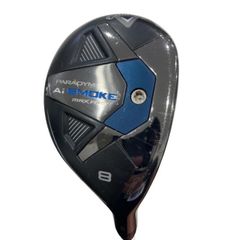 Item thumbnail for item 4946e064-3275-4649-b379-3763a2cd90d7