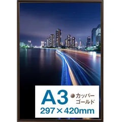 カッパーゴールド A3 フロントオープン式 ポスターフレーム パチット 日本製 ポスター用アルミ額縁 AM-APT-A3-DB Kenko
