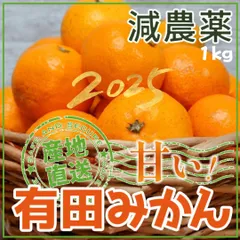 ★農家直送★ 甘い和歌山 減農薬 有田みかん 1kg 