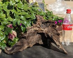 Item thumbnail for item d76df6c7-9f63-4864-ada7-2e4502a2e98a