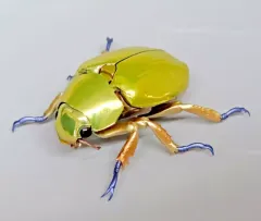 2026年最新】プラチナコガネの人気アイテム - メルカリ