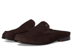 Item thumbnail for item aa76fbae-c4d7-44a0-8b27-9f3164bc94ed