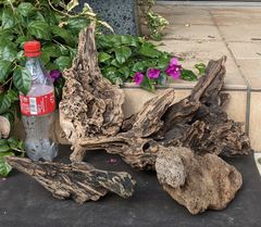 Item thumbnail for item 6606e24f-e3fe-45bc-b8ae-c30bad100306