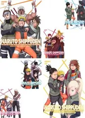 NARUTO ナルト 疾風伝 九尾掌握と因果なる邂逅の章(6枚セット)【全巻セット アニメ 中古 DVD】レンタル落ち