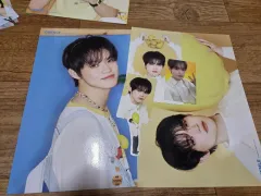 2026 NCT DREAM シーグリ チョンロ(CHENLE) 販売