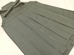 Item thumbnail for item a8fc4044-29f8-4497-b3fc-f4c346c97985