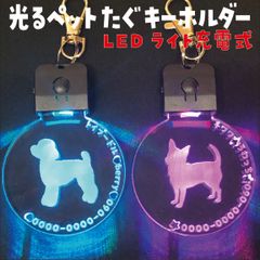 Item thumbnail for item ee198591-2fa0-45ab-b671-09a96ad3e948