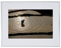 Item thumbnail for item e7a04abf-4aee-4d3c-b66a-87ae32927f01