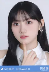 2026年最新】川崎桜 乃木コレの人気アイテム - メルカリ