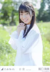 【中古】生写真(乃木坂46) 阪口珠美/上半身・「日常 アンダーver.」/乃木坂46 アンダーライブ 全国ツアー2018 ～関東シリーズ～ 会場限定ランダム生写真