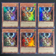 ドロール＆ロックバード　ウルトラ　6枚