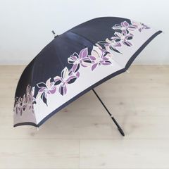 Item thumbnail for item e1b4be31-4b8d-45c0-8777-1e9b28864c17