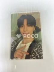 Seventeen ディノ Attacca CARAT Ver.